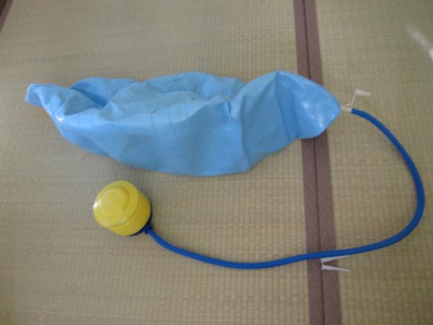 付属の手押しポンプよりは多少、楽そうな足踏みポンブを利用します。