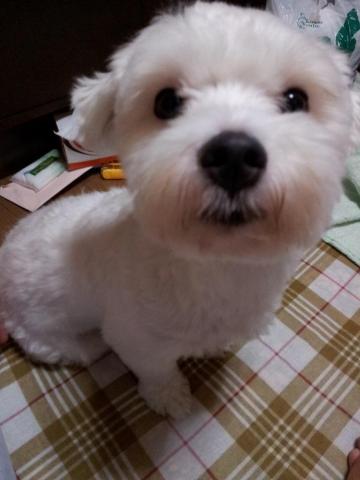 2011-09-07 00.53.57.jpg