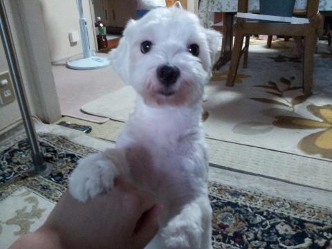 2011-07-21 18.17.06.jpg