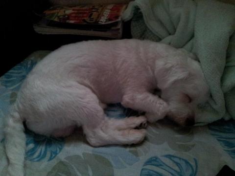 2011-08-20 15.55.55.jpg