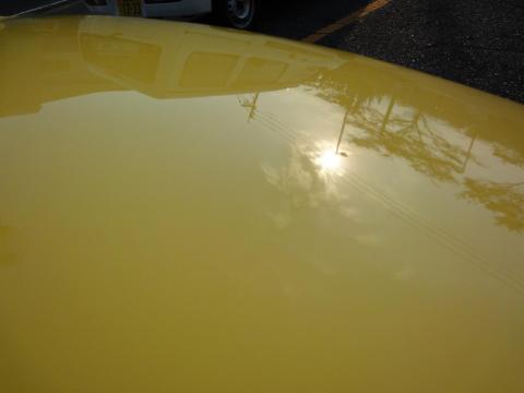 G's shield(ジーズシールド)