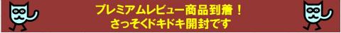 ドキドキ開封です