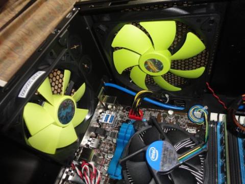 イエローファンがアクセントになってますね