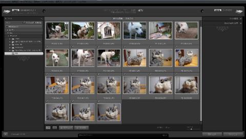 ファイルを読み込んでみました