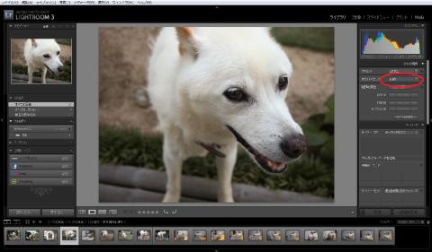 自動調整してみました