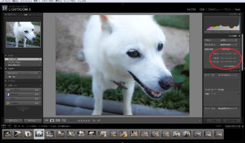 露光量 明瞭度 自然な彩度を変えてみる