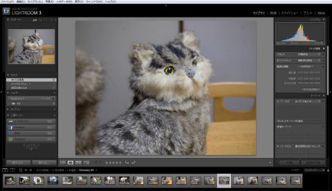 RAWデータを表示してみました