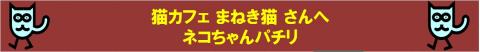 まねき猫さんに行きました~