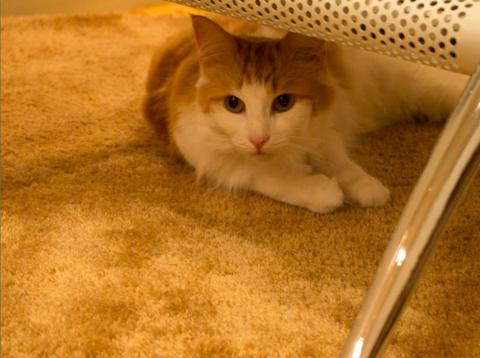 RAWデータで撮影しました