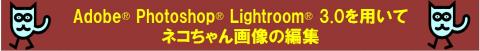 いよいよソフトを使用して基本的な操作をしてみます~編集をしてみますね