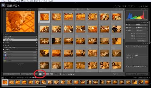 画像データを並べて表示してみます