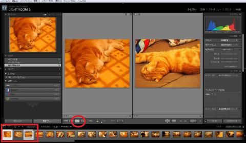 画像2枚を比較してみます