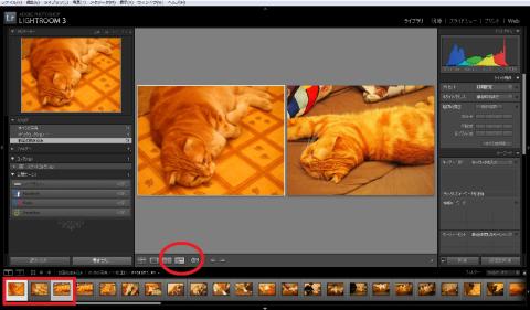 画像を選別してみます