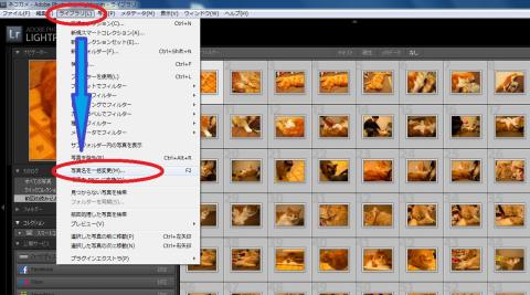 写真名を一括変換してみます