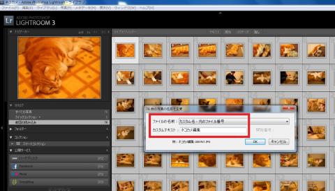 カスタム名+元のファイル番号で一括変更しました