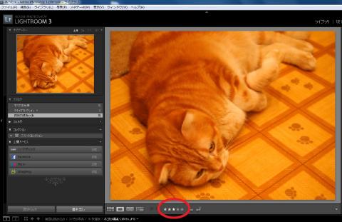 レーティング機能でデータを選びやすくしておきます