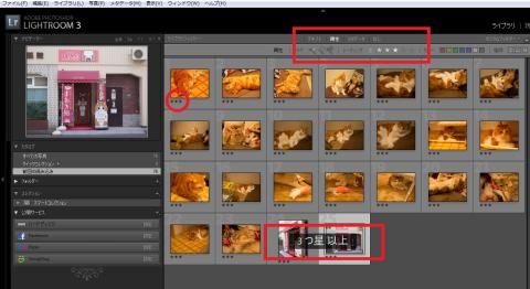 三ツ星だけを選んでみました。