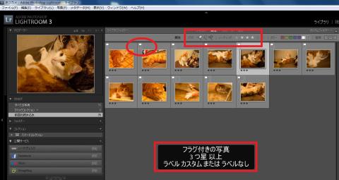 フラグの機能も使ってみました