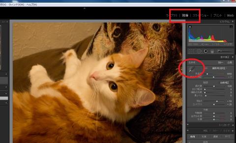 ホワイトバランスの調整をしてみます