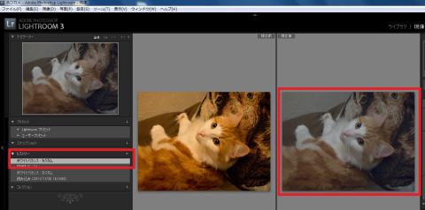 ホワイトバランス調整ができました