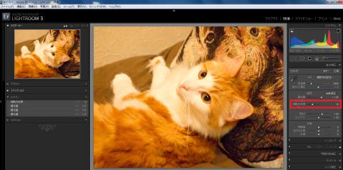 補助光効果調整で明るくきれいな画像になりました