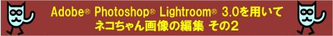 編集その2 簡単に現像ができるクイック現像してみました