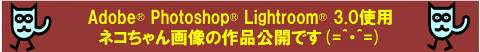 いよいよ作品公開となりました