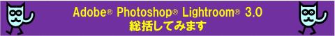 Adobe® Photoshop® Lightroom® 3.0を使用しての総括をしてみますね
