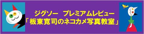 ジグソー プレミアムレビュー「板東寛司のネコカメ写真教室」