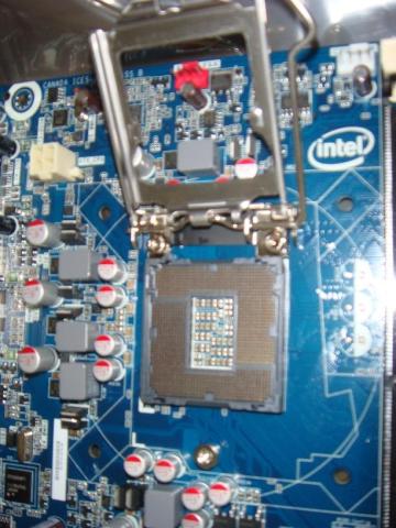 イラッシャイマセー