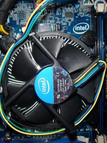 真ん中がキラッキラしよる~