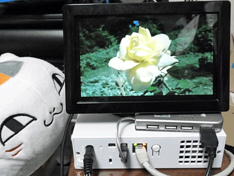 img.php?filename=mi_109792_1320918964_46