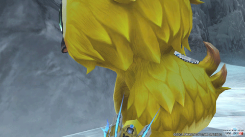 背中にチャック