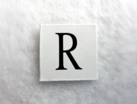 こいつがナンなのか随分考えてしまった。