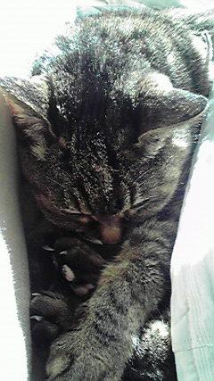 こんなかっこうでよく寝れるw