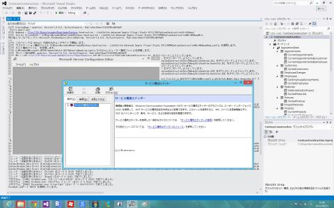 vs2012lightswitch01wcfriacerviceediter.jpg
