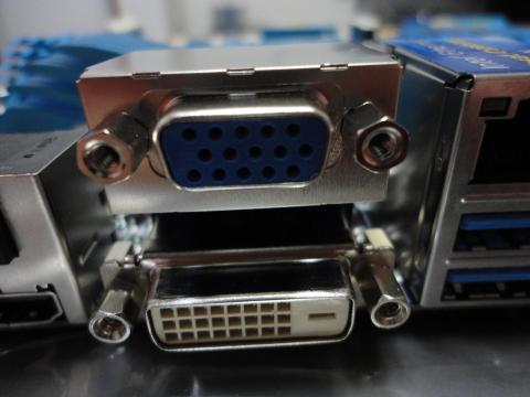 怖いもの無し。