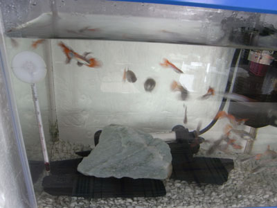 200㎜マクロ撮影 テスト1