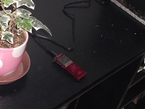 ステレオICレコーダー