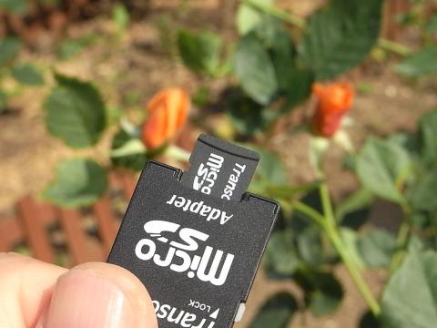 携帯電話のマイクロSDをアダプタに挿したところ