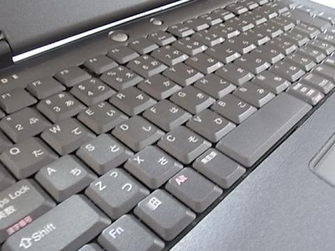 まだまだ元気です!