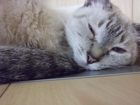 結構いい絵だと思うんですがねぇ