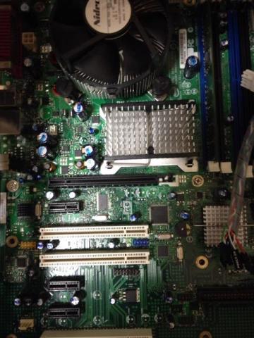 【綺麗に取れてはないが】