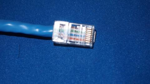 先を切りそろえて突っ込みます。