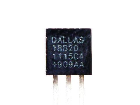 DS18S20