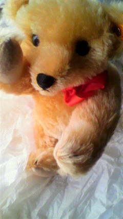 そこのバスまって~~~