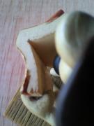 本は白紙・・・