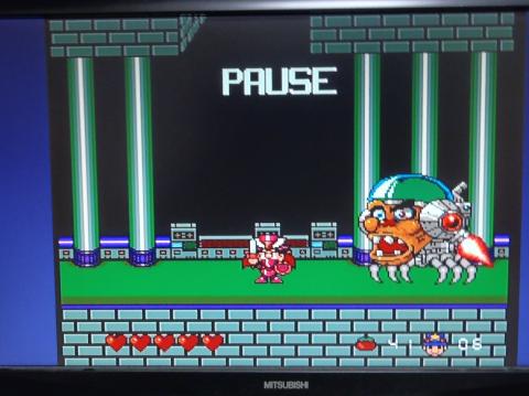 ステージ1のボス。。。?