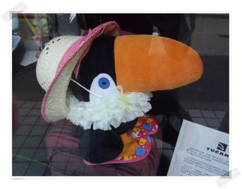 お店にはオシャレな大きい子もいた