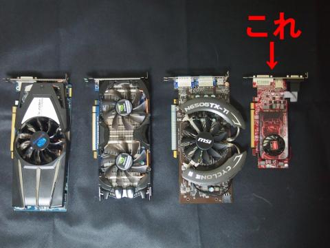 比較すると小ささが分かりやすい?